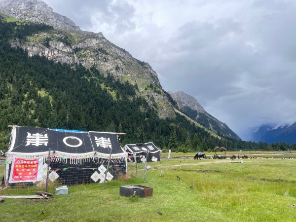 川藏33天深度之旅💙#稻城亞丁-來古冰川2902369