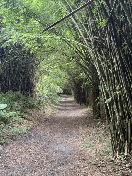 2025/09/15 跑馬古道 鵲子山3041554