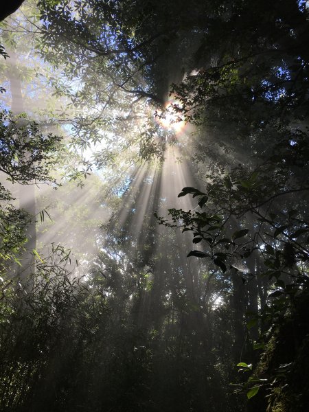 【萬丈光芒-加里山】媲美電影戰地般奇景974211