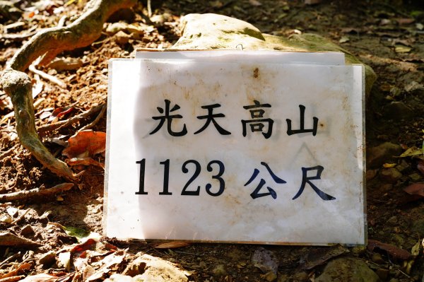 苗栗 南庄 光天高山、向天湖山3073688