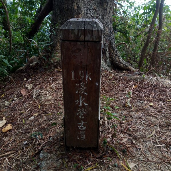 步道巡訪員 l 浸水營前段步道5月巡訪日誌969862