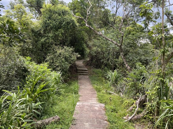 [微笑山線_第九段] 2025_0914 二格山系_皇帝殿西峰2889795