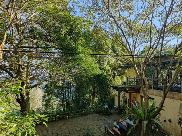 2024.11.29 騎龍山+騎龍古道2990392