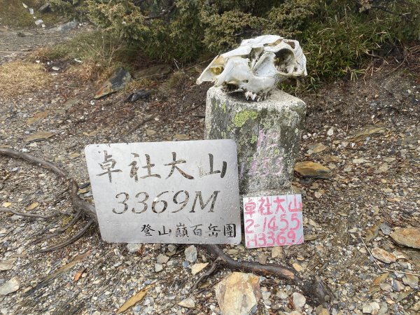 【南投】卓社大山～林道的馳騁