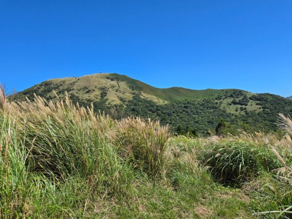 大屯主峰-連峰步道環形（小百岳）2904358