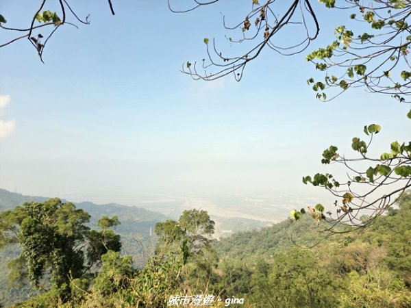 【屏東來義】小百岳棚集山x棚集下山O 繞3013083