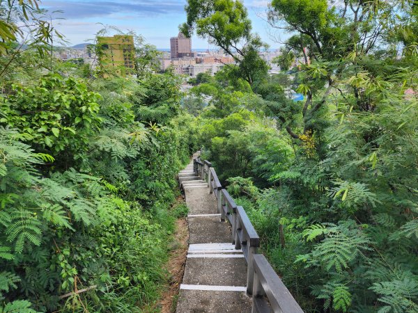 台東｜鯉魚山2638622