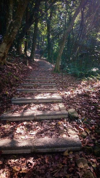 出關古道關刀山步道1584808