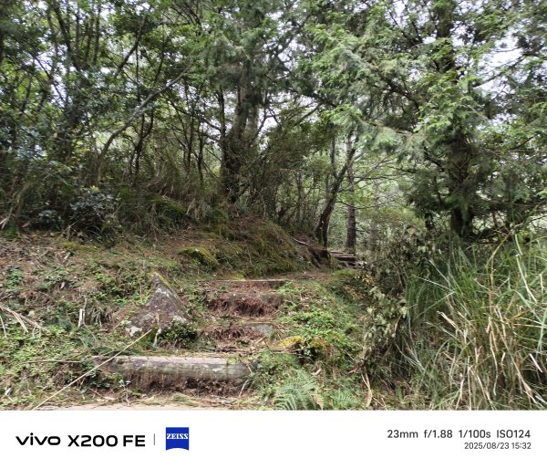 [玉山尋寶任務-06/12] 2025_0823 東埔山步道2870137
