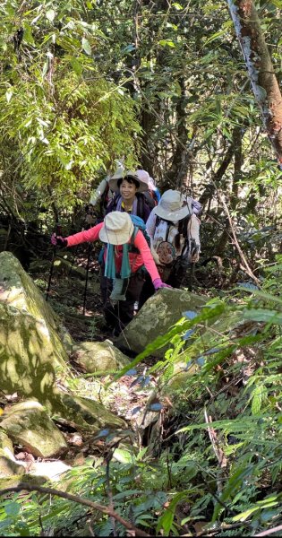 瞭望台-瓊山-望美山-獵人古道2887770