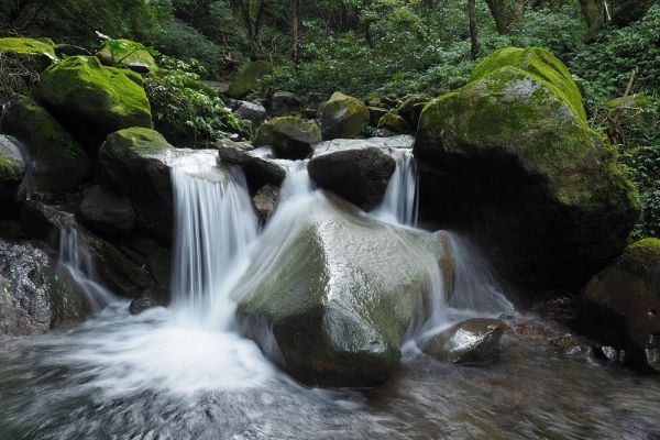 【新北市】三芝，大屯溪古道上小觀音山