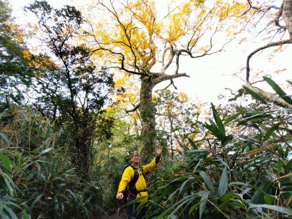 1121125 鳥嘴山縱走貴妃山2363970