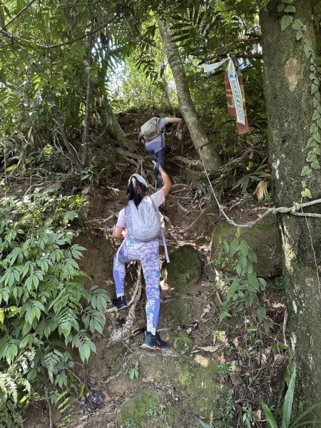 20250824小百岳大橫屏山2871805