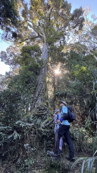 20251005小百岳金柑樹山2906984