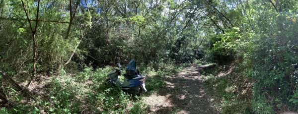 20250621屏東巴士墨山-草埔後山2821419