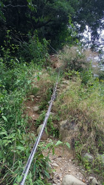 台中大坑四號步道，黑山北峰黑山石苓湖步道