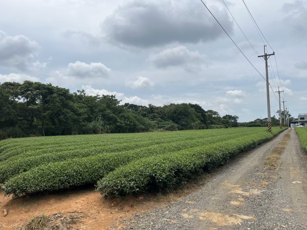 [皮皮獅探險隊-05/10] 2025_0706 石光古道2831850