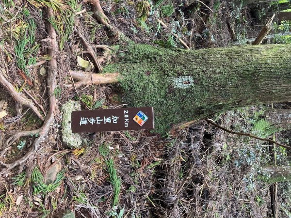 20220917_加里山（苗栗小百岳）2762196