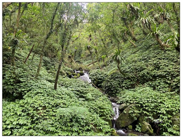 聖母峰、三角崙山 (抹茶山) 連走2802199