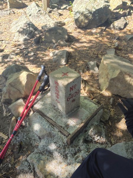 唐麻丹山 蝴蝶谷2918955