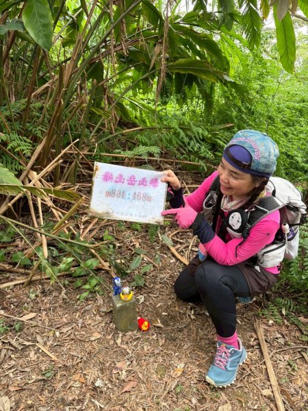 銀河洞越嶺貓空-新高麗坑山-銀獅縱走-猴山岳群峰+三條魚縱走2765505