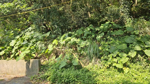 20260320永公廢棄水廠-永公路-小草山西南-1ICRT電台-中庸一路-中庸五路-新安路3022450