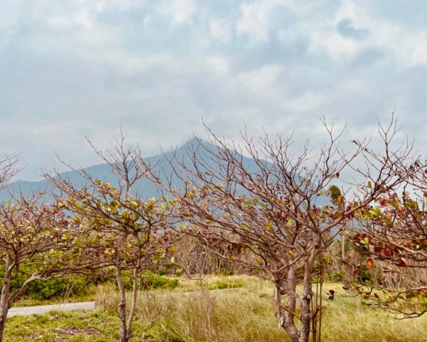 挑戰者之歌/新城-曼波海提-七星潭-月牙灣-四八高地2714669