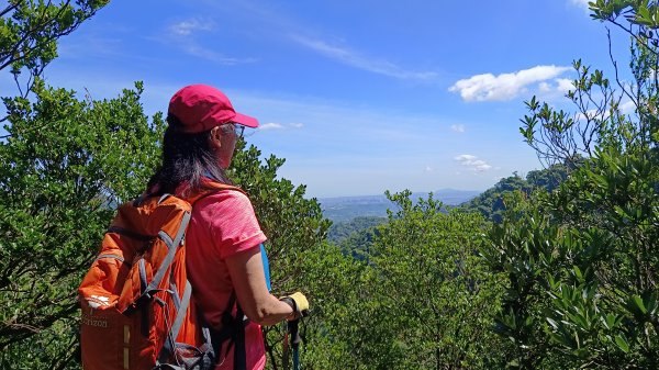 (姨婆趴趴走)第十四集:新竹關西油井窩山、彩和山、高甫山縱走2206443