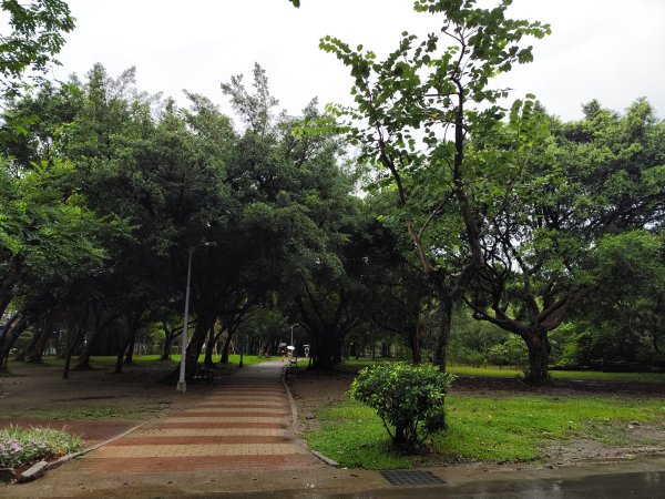 大安森林公園、西門町、象山公園【2025臺北健走趣】2834205