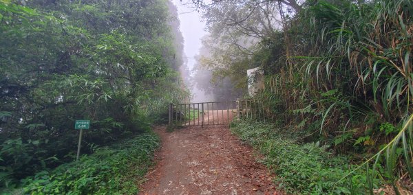 2023-11-25溪頭鳳凰山步道2361020