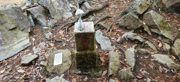 2026/02/18-屋我尾山步道（大雪山林道來回）3005105