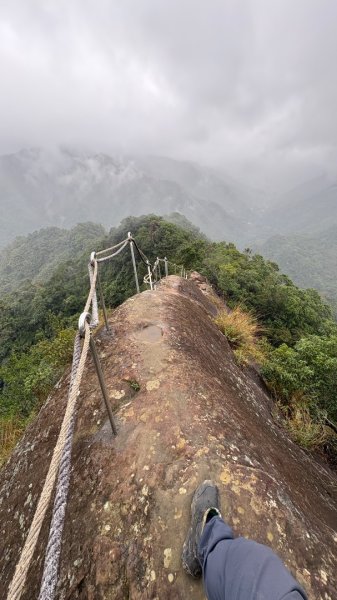 迎新（2026元旦2975576