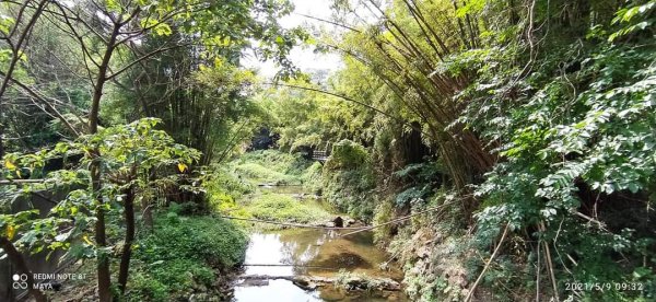 天上山（小百岳集起來）- 前半段路徑和靄可親、後半段面目猙獰1379311