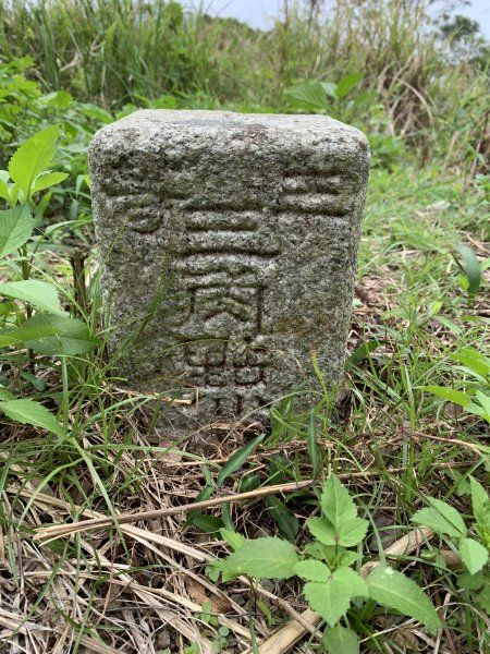 20250621屏東巴士墨山-草埔後山2821409