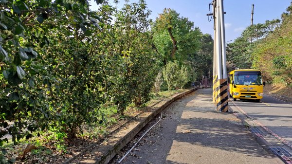 台北大縱走第一段1249064