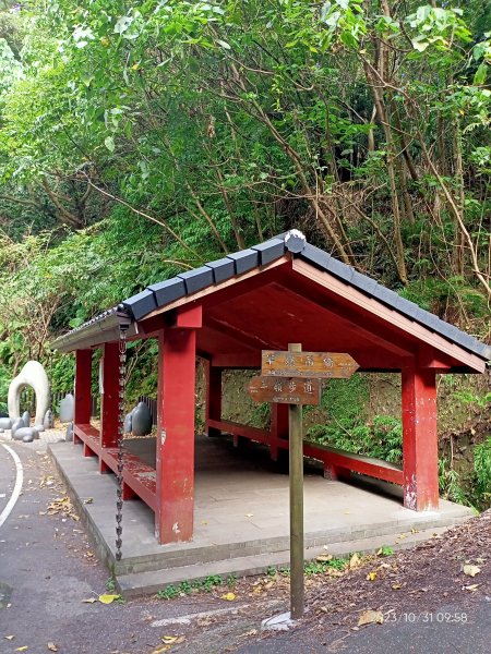 半嶺步道、松溪瀑布、橫嶺古道、湖山綠地【發現陽明山、走路趣尋寶】2332868