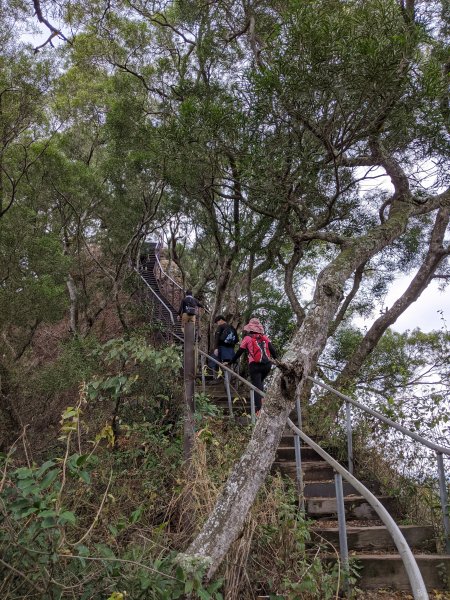 【彰化】清水岩步道群﹣中央嶺造林步道897806