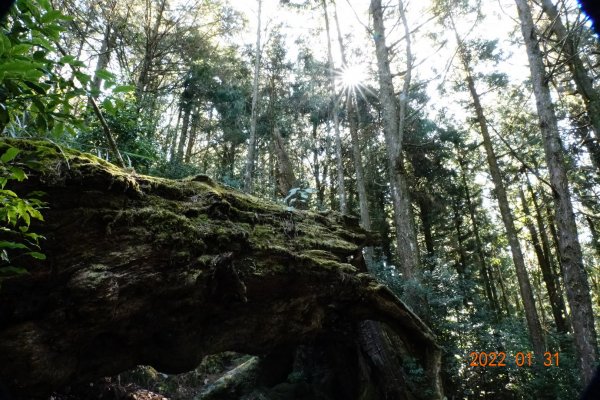 臺中 和平 稍來山1597389