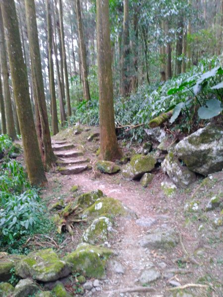 2023-03-04 奮起湖奮起步道2057748