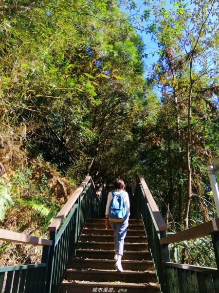 南投~飽覽層疊山巒賞心悅目~金龍山步道1242580