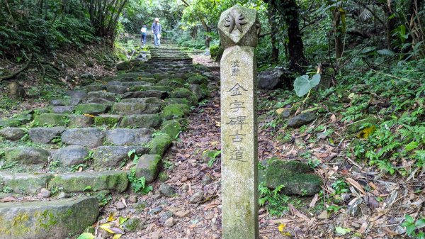 金字碑古道,大粗坑步道2518868