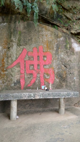 台北市大湖白鷺鷥山步道716551