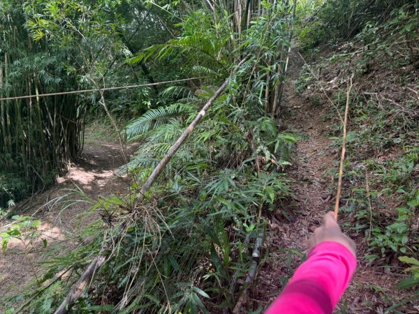 頭城火車站-頭圍山-礁水坑山南峰-礁水坑山-鶯子嶺2867043