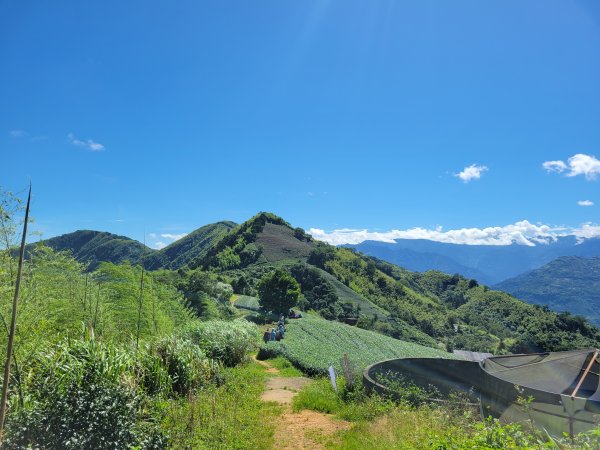 【雲嘉抺茶山】1735890