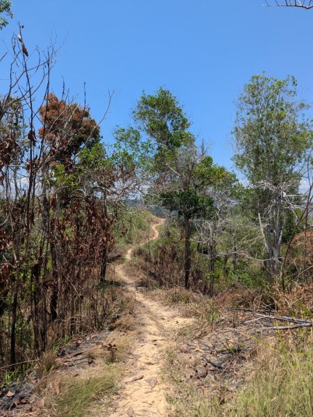 20260417 汶萊 - Bukit Si Patir3038251