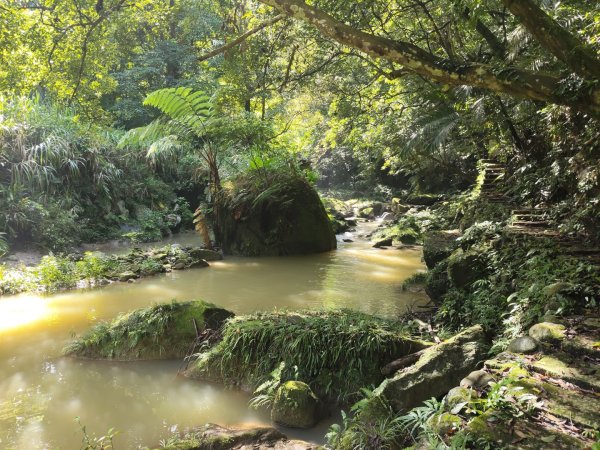 四寮溪生態步道2882171