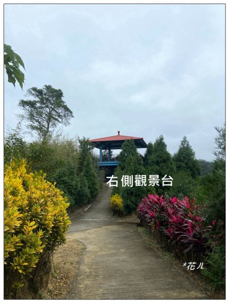 三灣落羽松秘境2676776