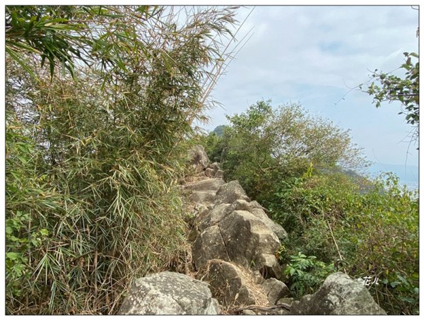 旗靈縱走(旗尾山、福美山、金字面山、人頭山、靈山)2996495