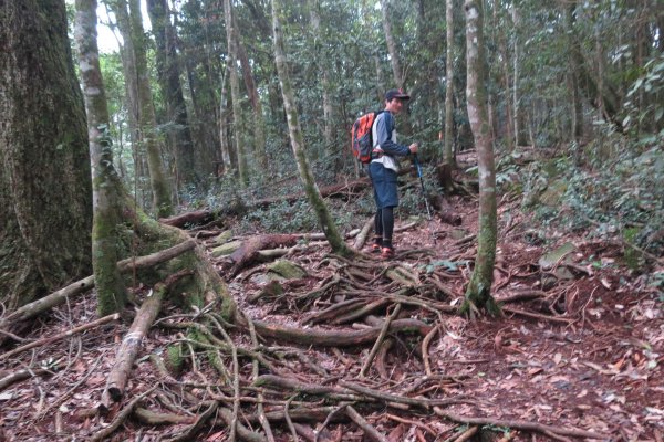 《台中》谷關七雄｜初登屋我尾山2017031412154