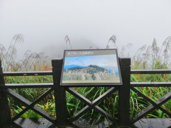 基隆七堵~雨霧中散步。 #小百岳姜子寮山867759